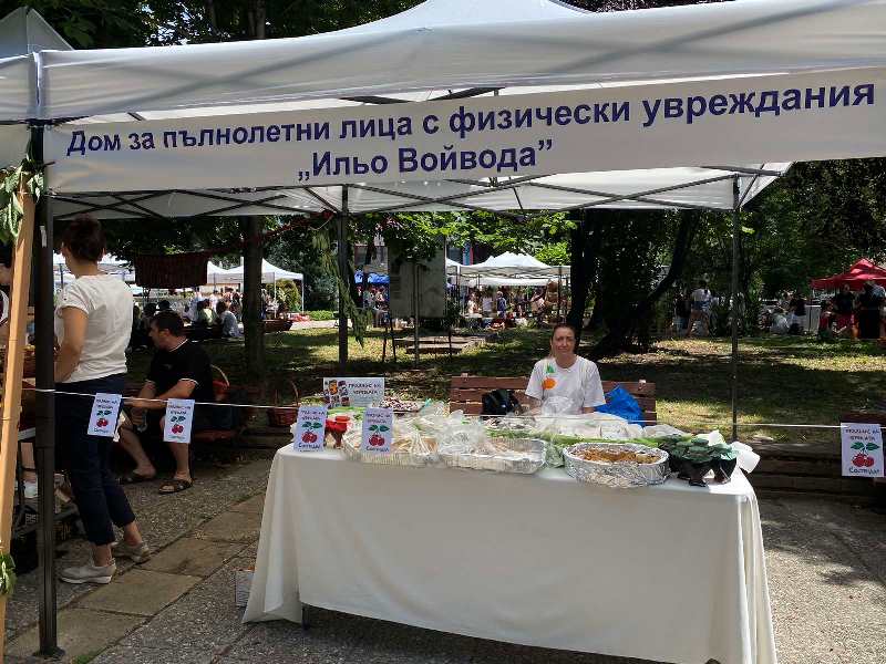stand-7