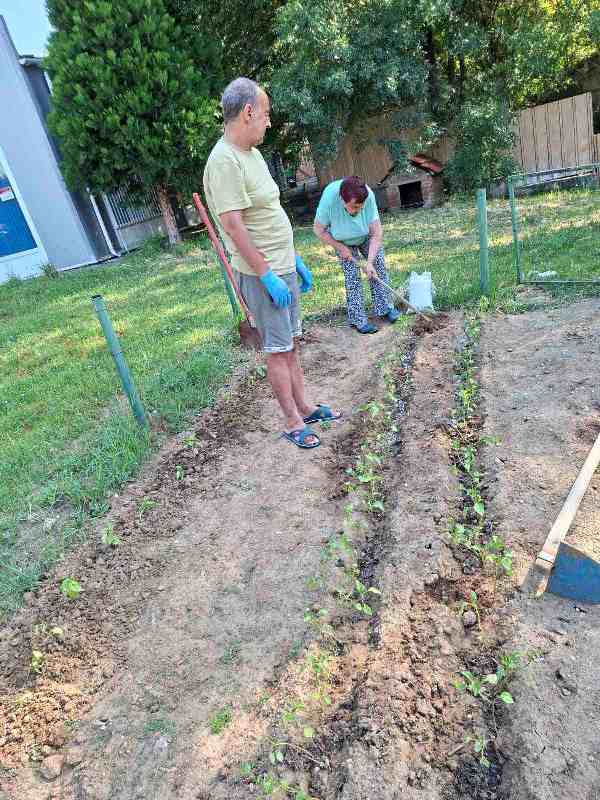 gradina-12