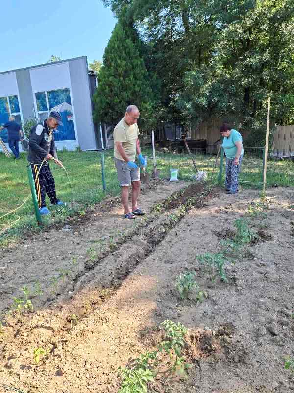 gradina-15