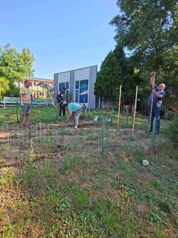 gradina-18