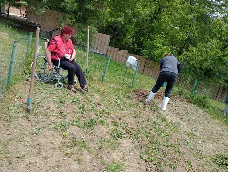 gradina-4