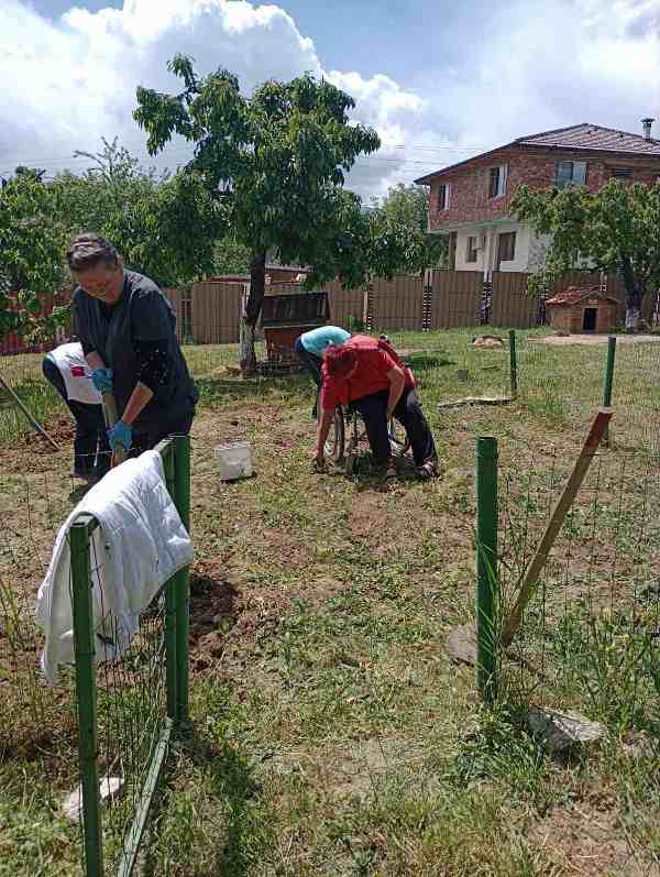 gradina-5