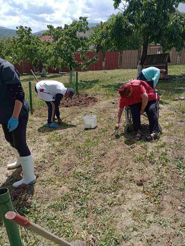 gradina-6