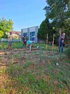 gradina 18