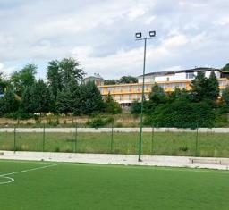 petri4-1