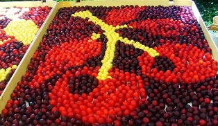stand-4