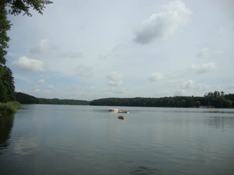 image005
