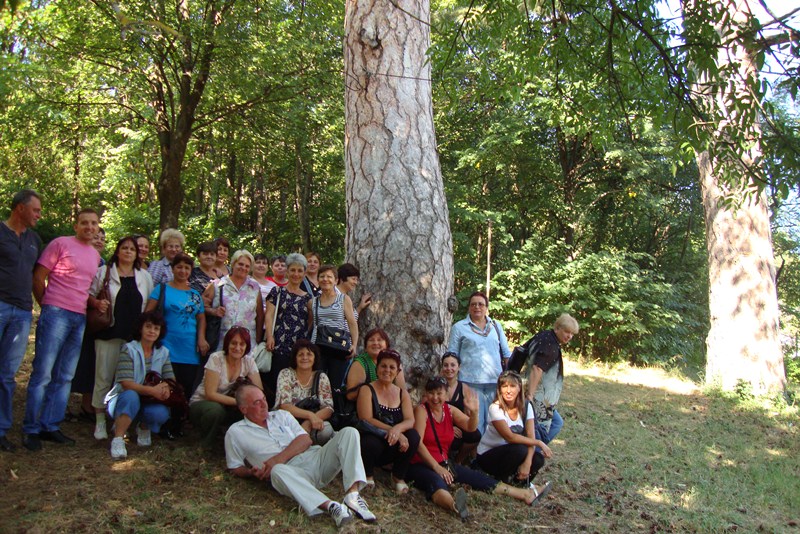 ekip 2012 2