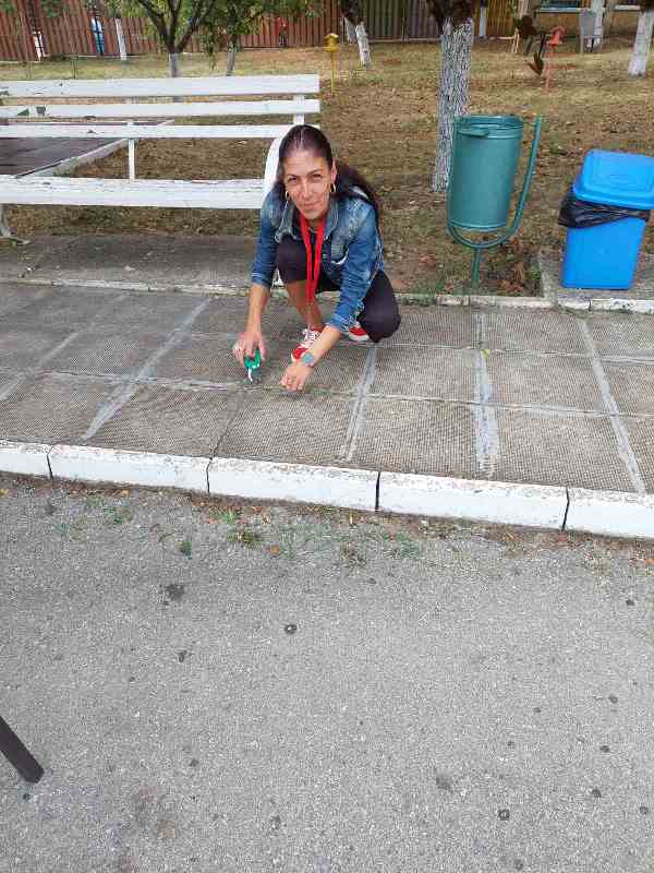 viber image-2023-09-29-21