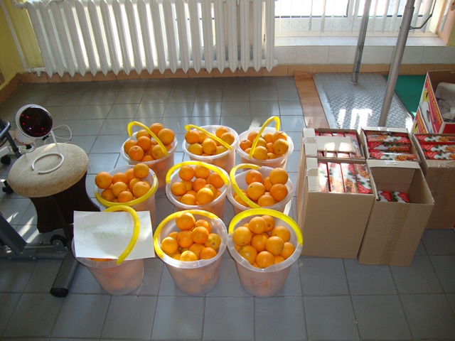 dariteli 2016-12-12 01