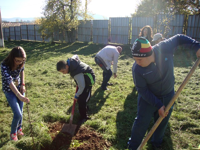 dobrovolci gradina2015 11