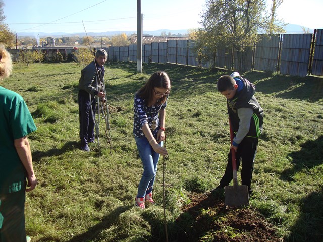 dobrovolci gradina2015 12