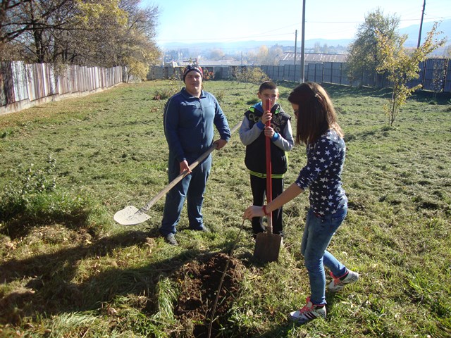 dobrovolci gradina2015 2