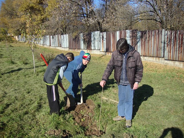 dobrovolci gradina2015 21