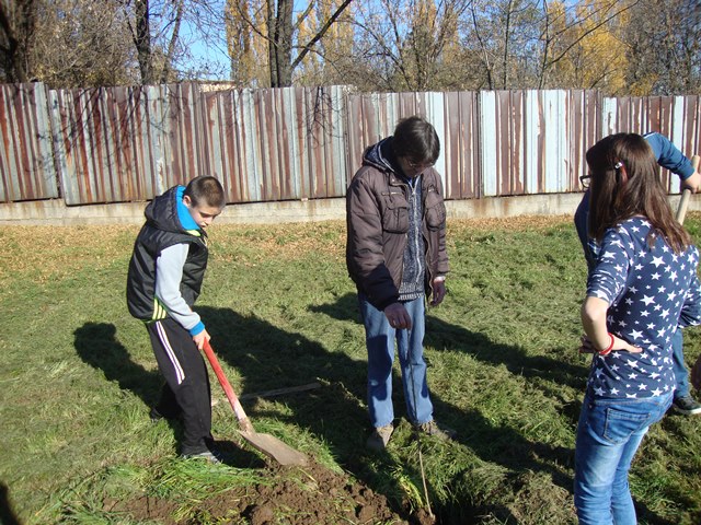 dobrovolci gradina2015 22