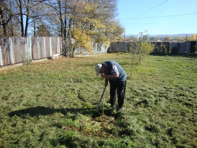 dobrovolci gradina2015 23