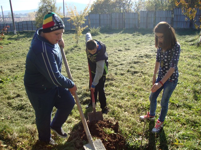 dobrovolci gradina2015 3
