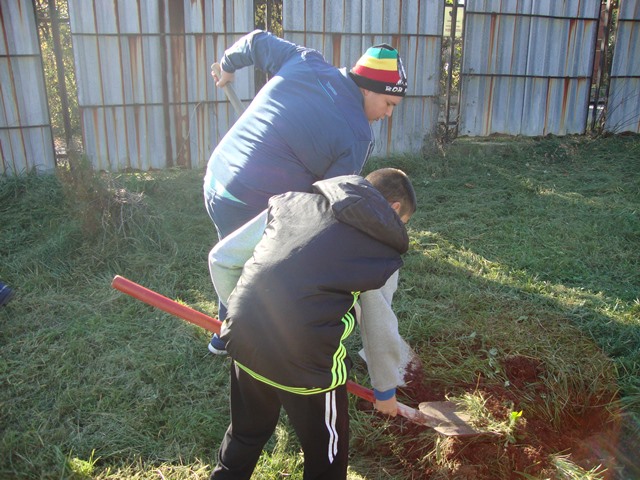 dobrovolci gradina2015 7