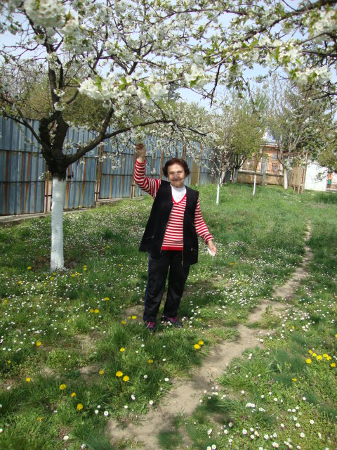 DSC05297
