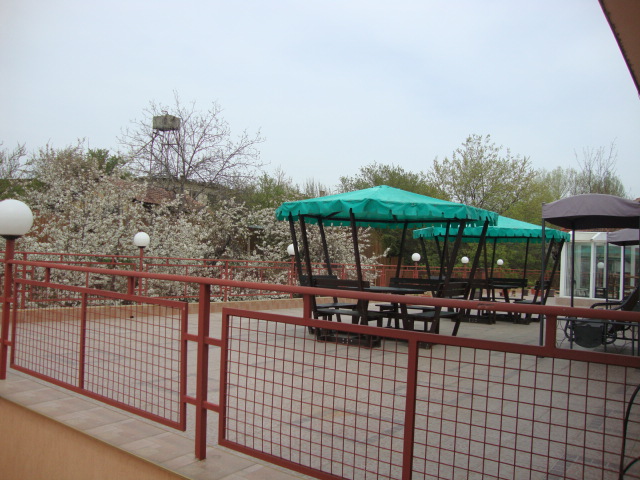 DSC05299